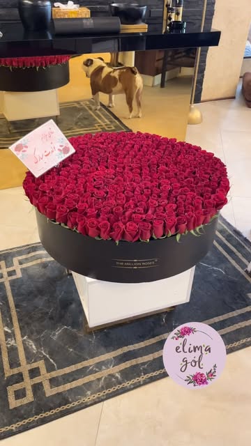 باکس ۴۰۰ شاخه ای رز هلندی قرمز ممتاز