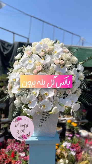 باکس گل بله برون، ارکیده و گل‌های بهاری