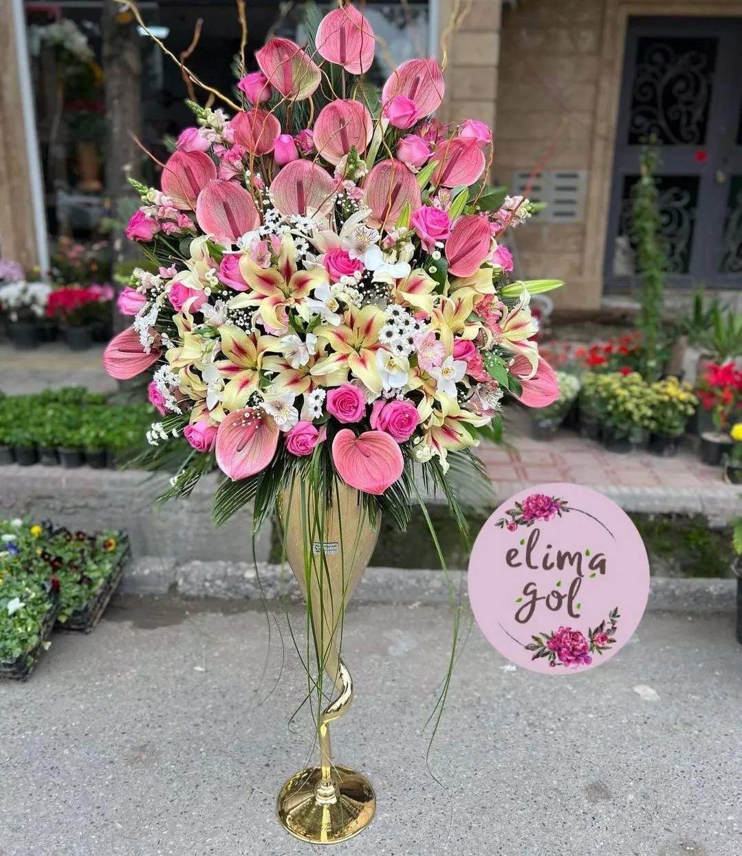 جام گل ممتاز اهورا