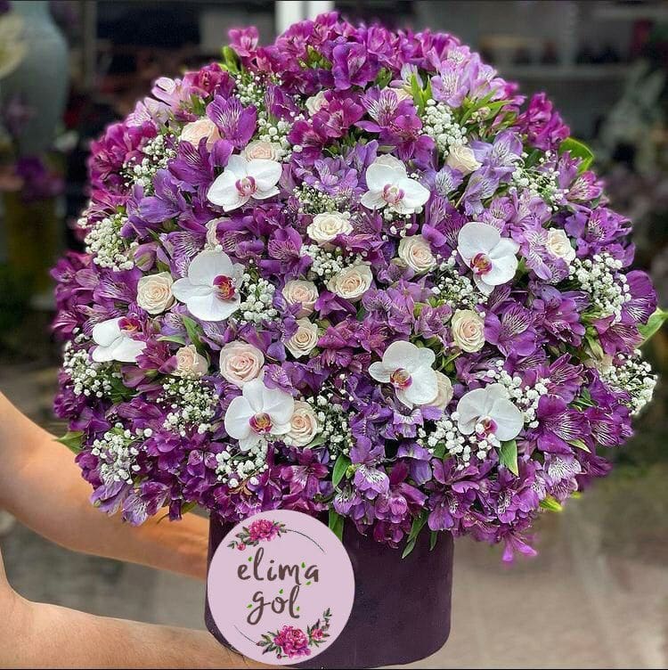 باکس فوق ممتاز بنفش