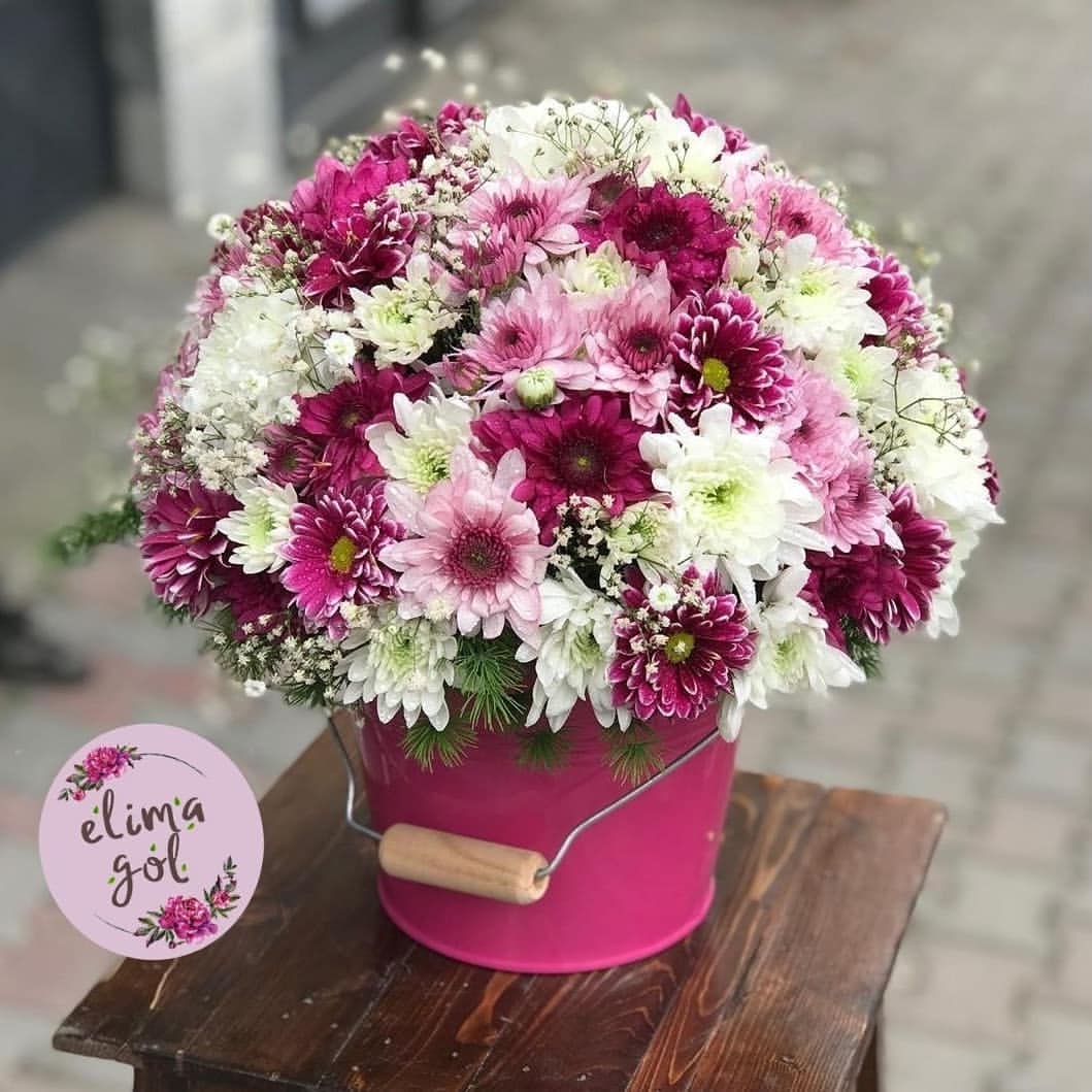 باکس گل اقتصادی