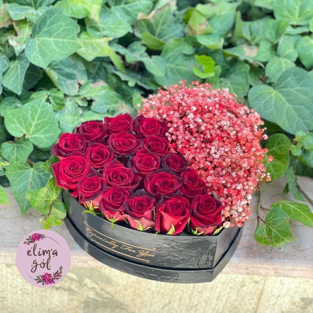 باکس گل رز و ژیپسوفیلا