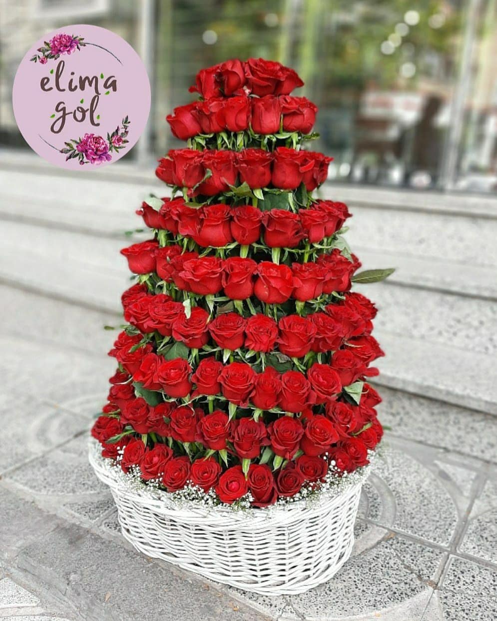 استند طبقاتی 220 شاخه