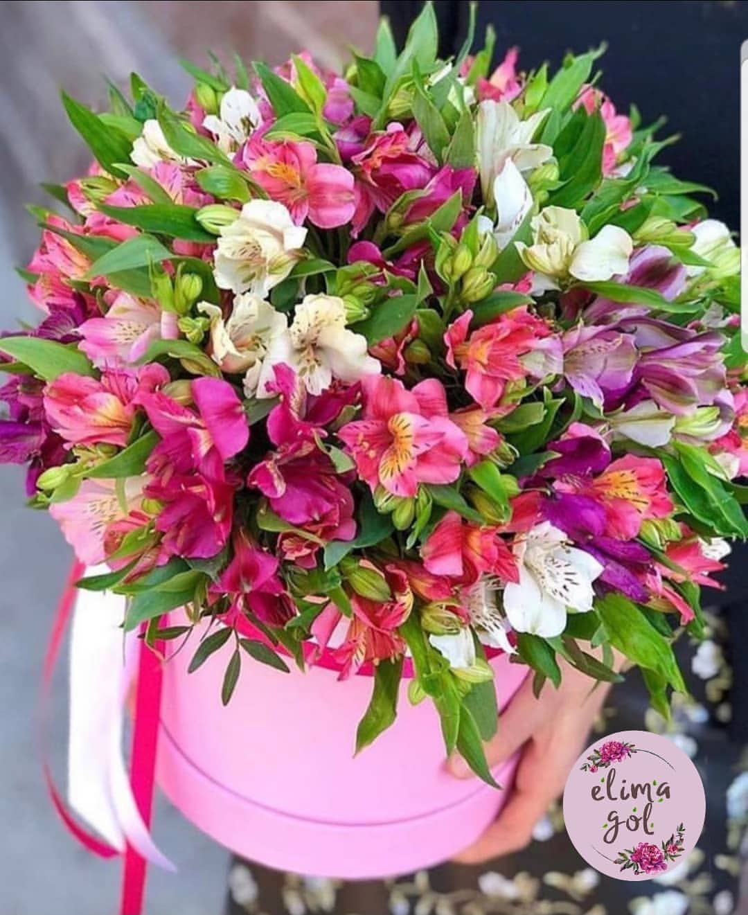 باکس اقتصادی برکه